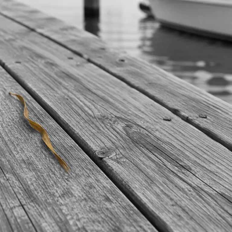 How to use the duckbay co uk reception number when planning a marina‑focused stay in Turks and Caicos